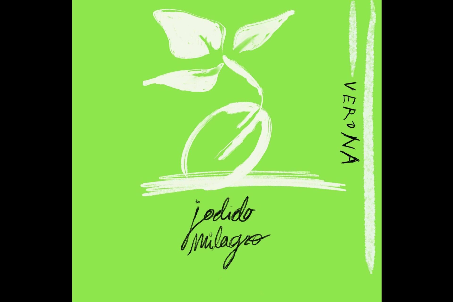 VERONA presenta 'Jodido Milagro'