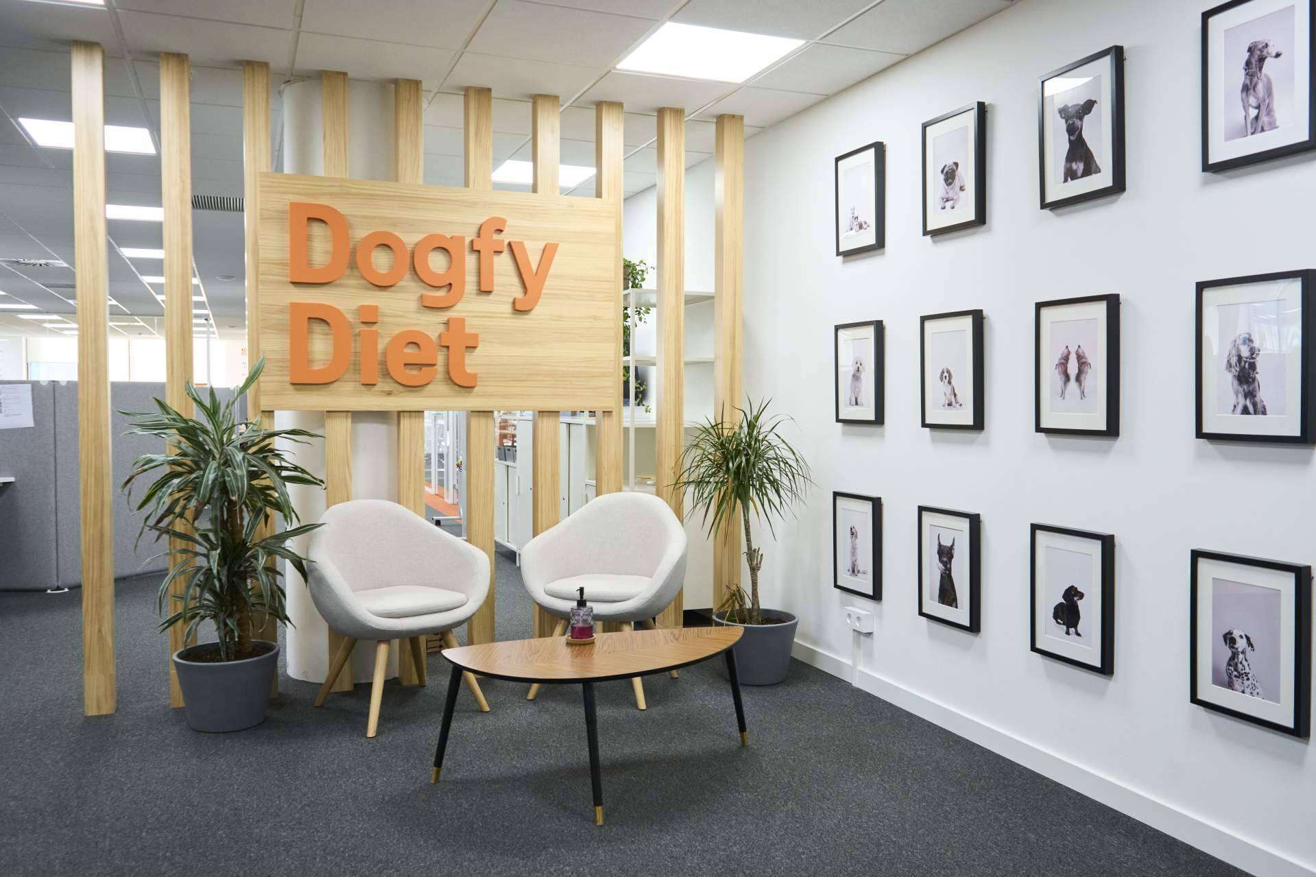 3 datos desconocidos sobre Dogfy Diet y su comida casera para perros