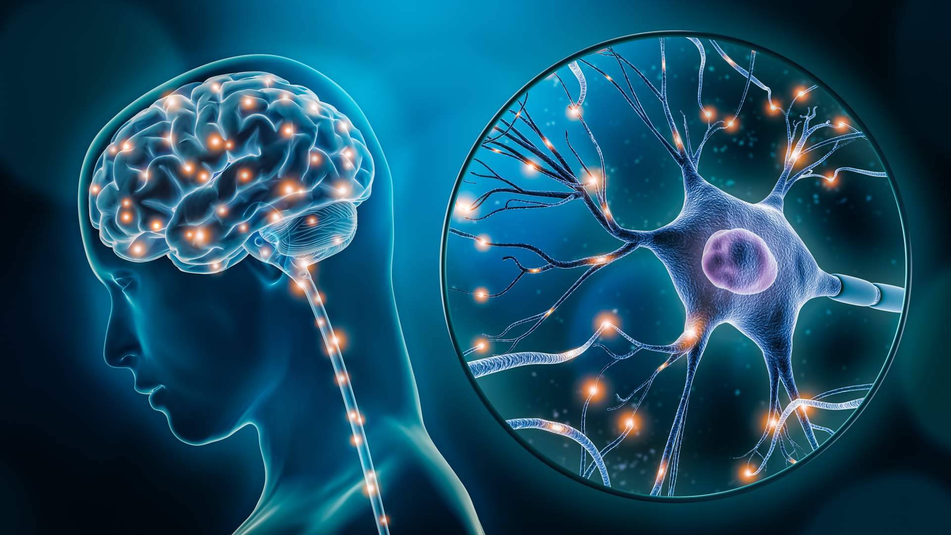 ¿Qué actividades se pueden realizar en verano con un paciente que padece una enfermedad neurodegenerativa?