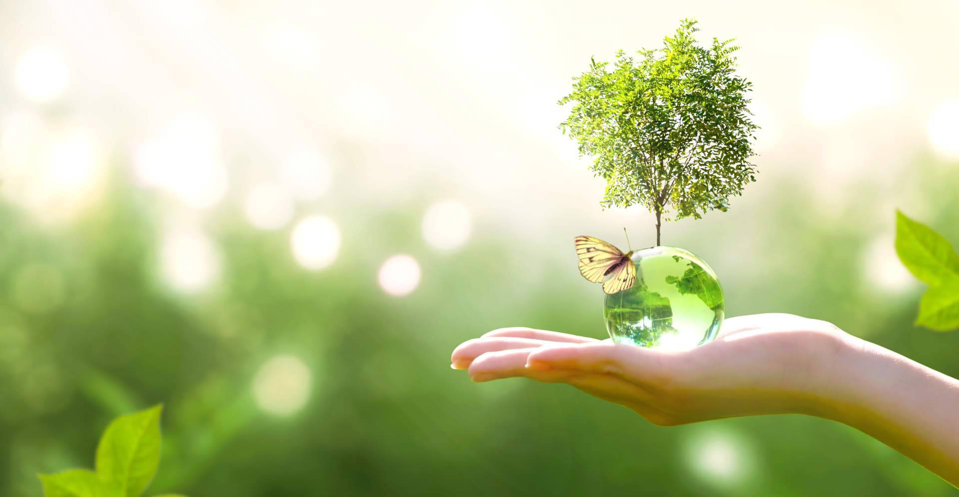 Multienergía Verde, pionera en ecoeficiencia para un futuro más limpio