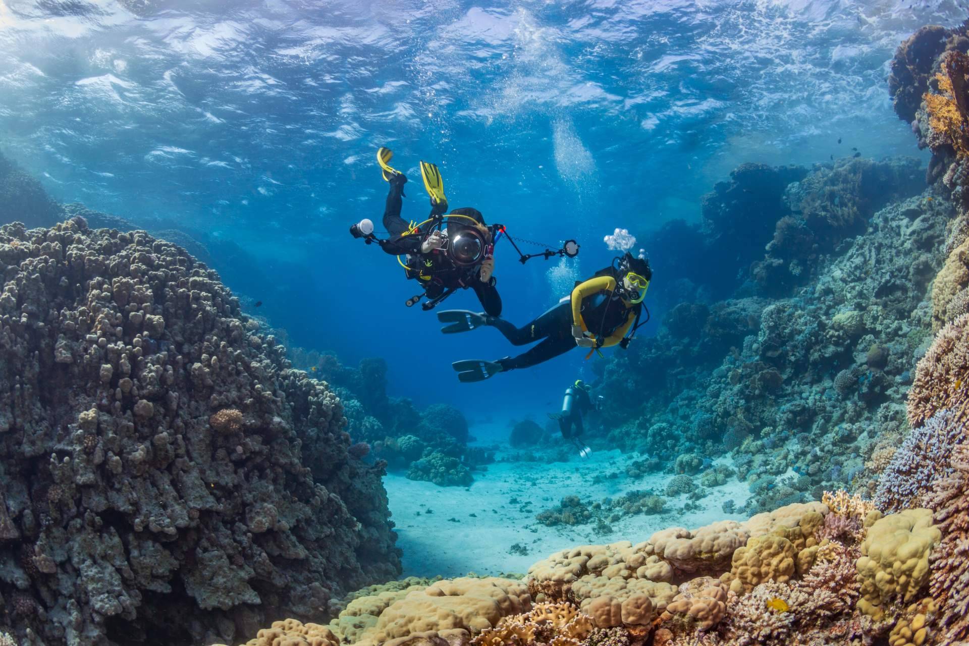 Transformar una pasión en profesión, con el curso de instructor de buceo PADI de Miguel Coll