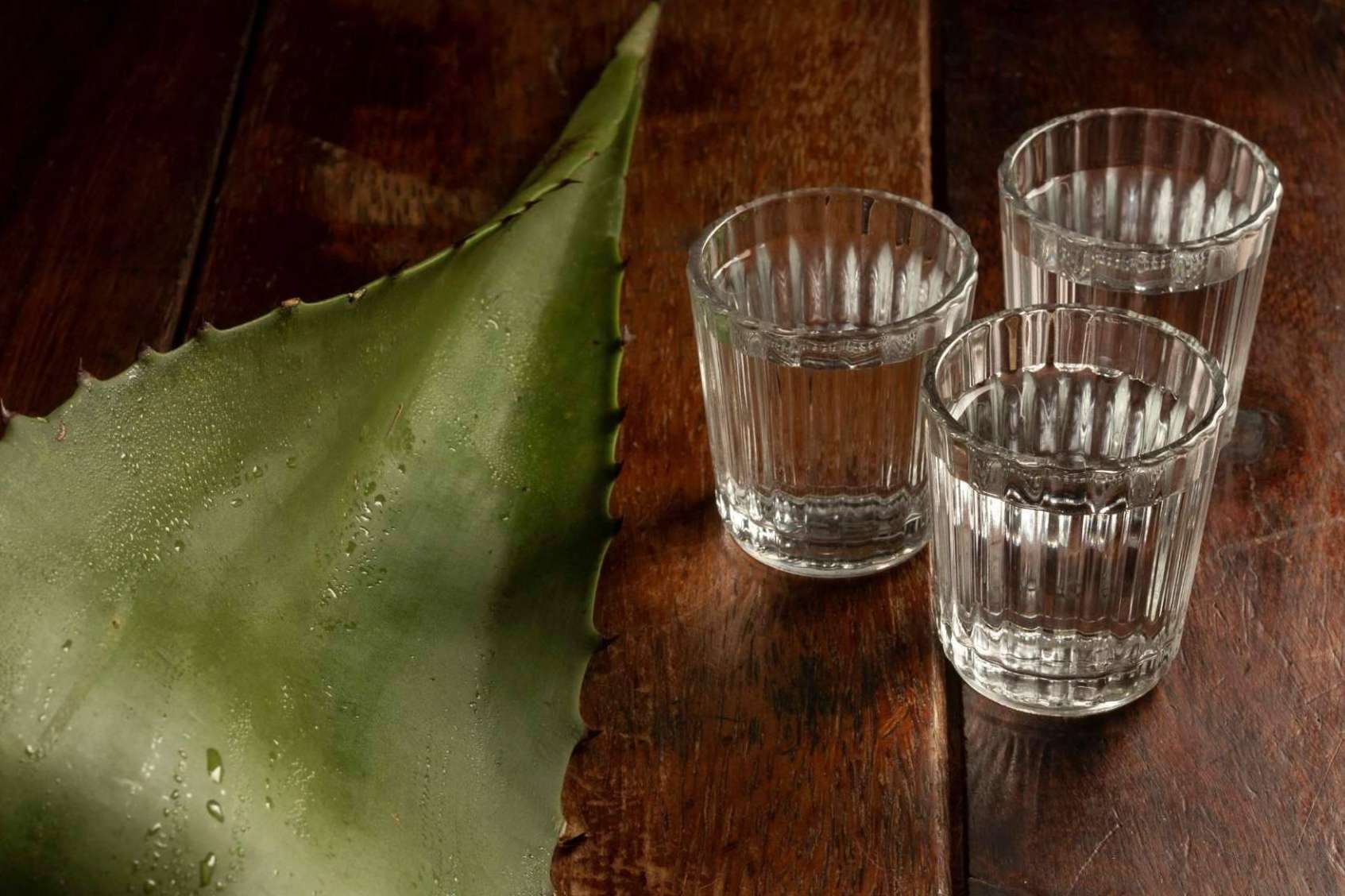 Las bebidas mexicanas de Maíz Maya
