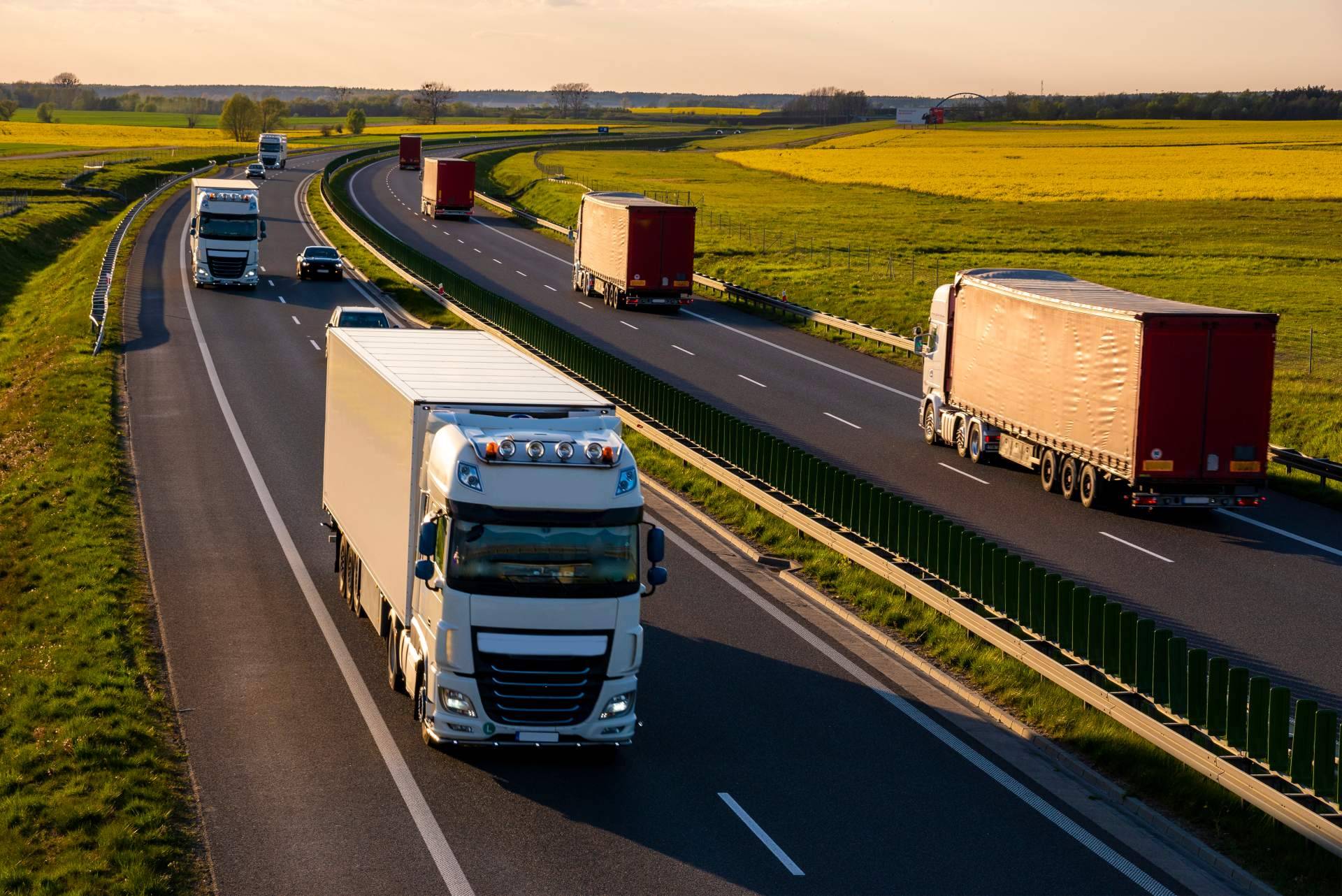 Soluciones curiosas de transporte para cargas especiales y grandes maquinarias