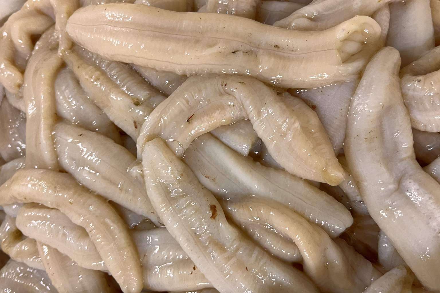Faro da Palloza ofrece algunos de los mejores productos sin necesidad de salir de casa