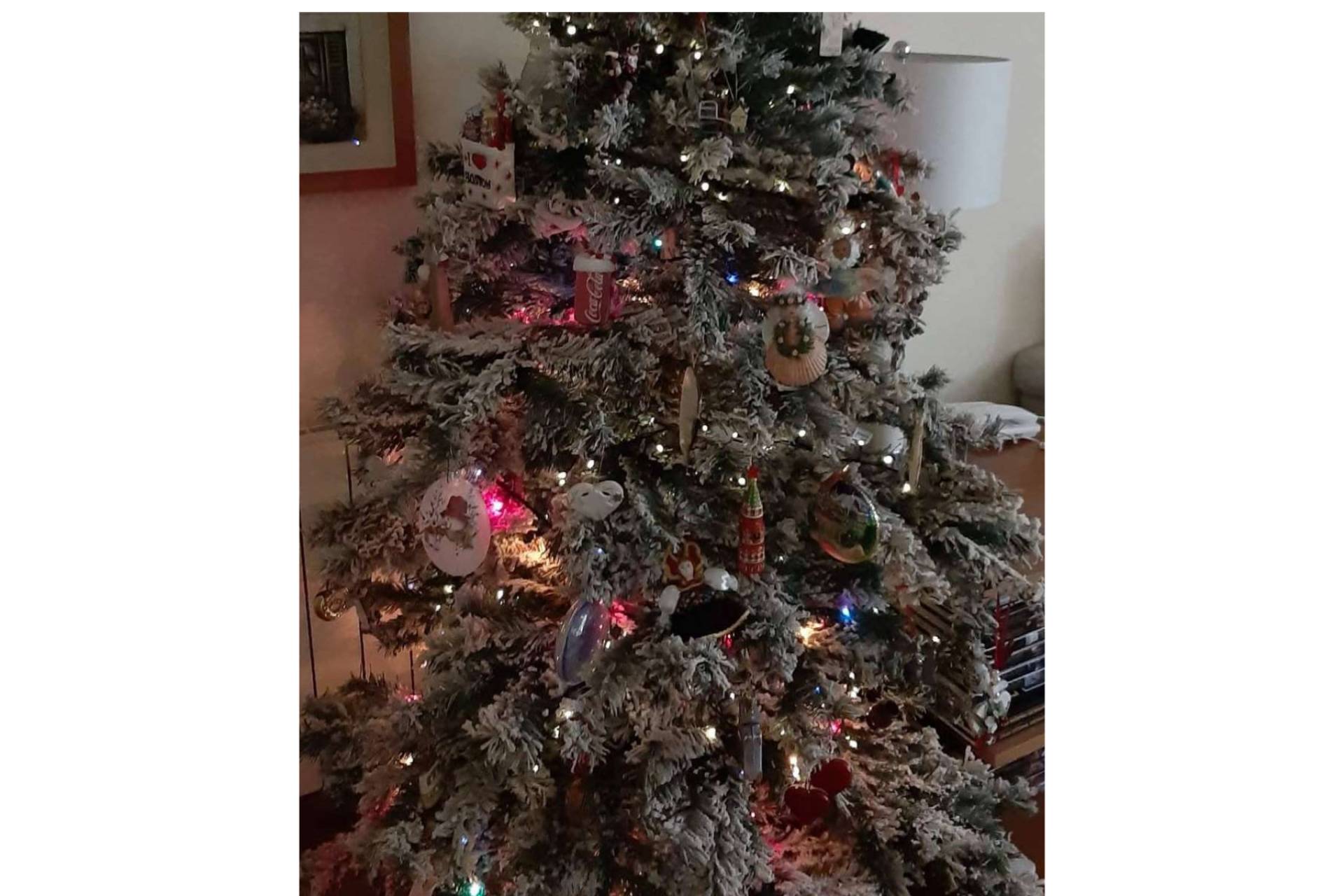 xmastreefriends, un cuento de Navidad que convoca a la comunidad infantil amiga del árbol navideño