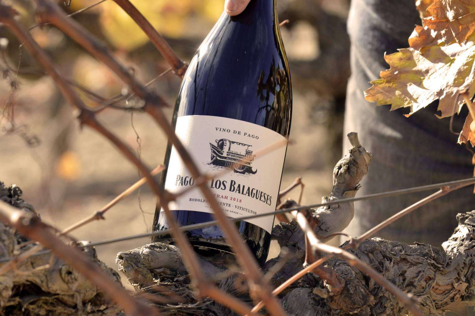 Bodegas Vegalfaro, un lugar donde la experiencia del vino converge con la sostenibilidad ambiental