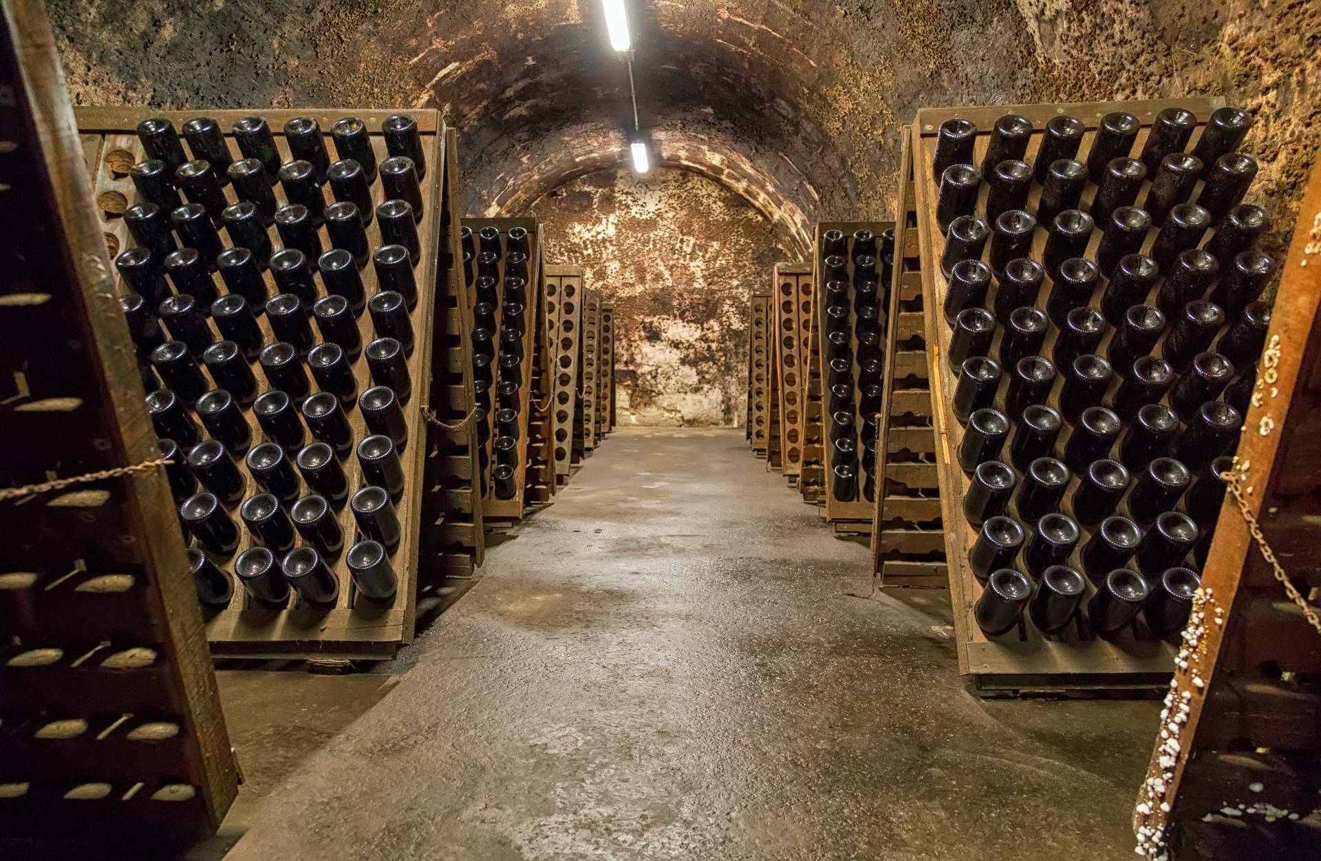 Naturelovers Wines impulsa los vinos ecológicos con técnicas de producción sostenibles