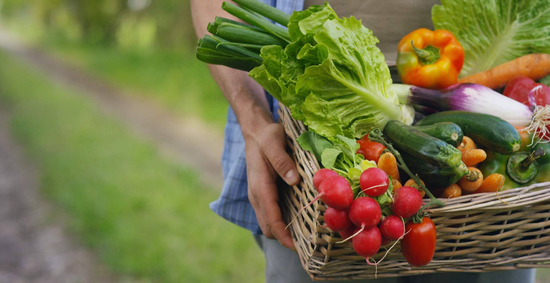 Zumos ecológicos de alta calidad para un bienestar natural, por Baor Products