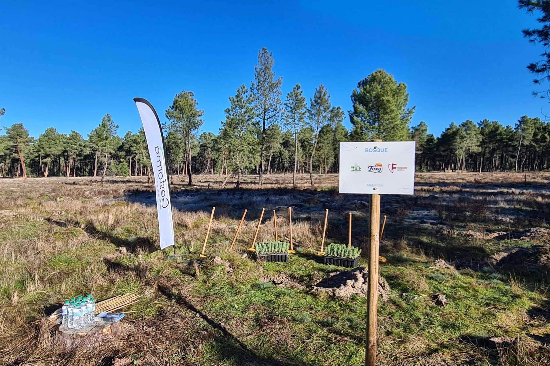 La iniciativa 'Juega tu papel' llega a Segovia
