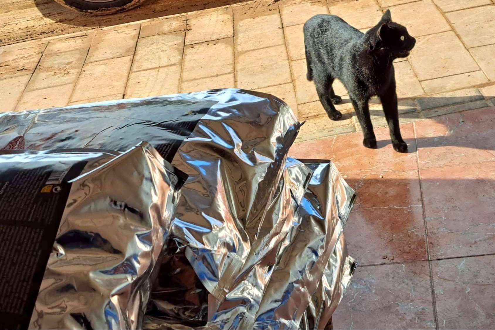 La iniciativa Solidaridad Feral lleva alimentos y materiales a refugios impactados por la DANA