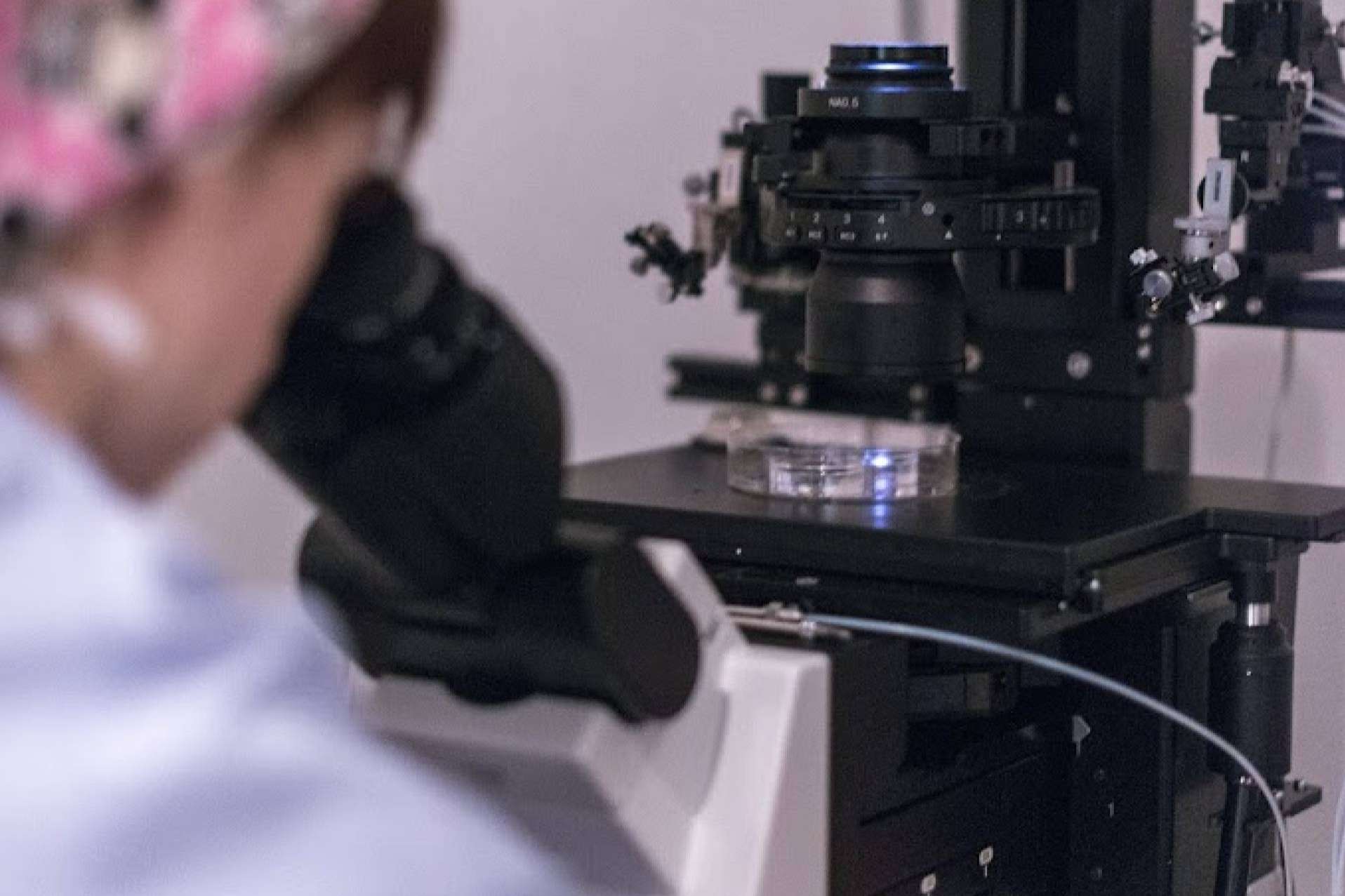 IMF Easyfiv, más accesibilidad y excelencia en reproducción asistida tras la fusión de dos clínicas