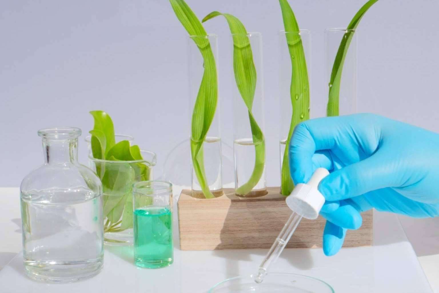 Norovirus en auge; ¿Cómo puede GudPro® de Probiofarma ayudar a fortalecer la salud digestiva?