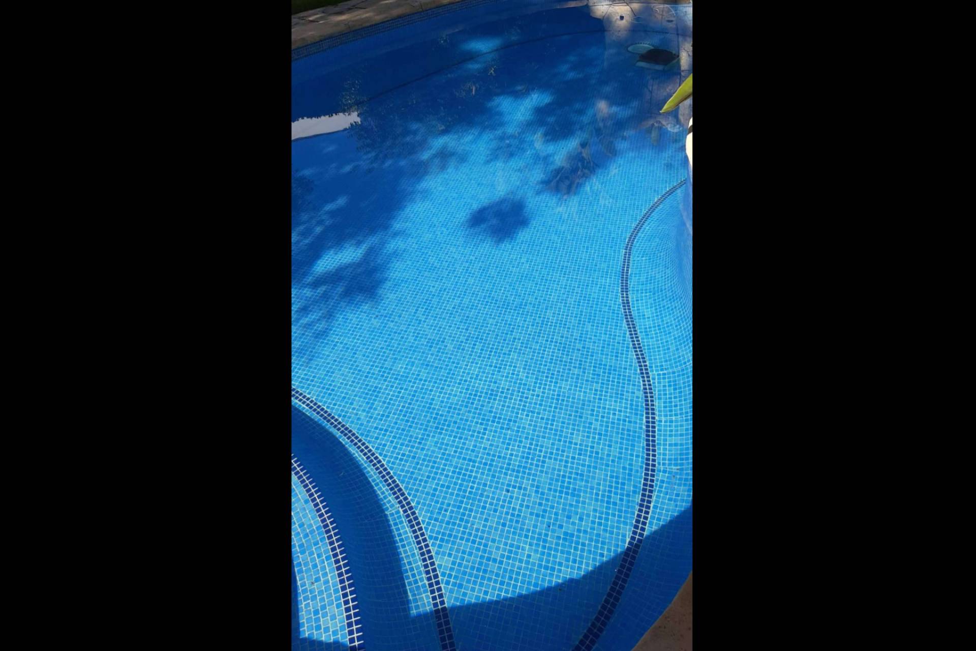 PoolTiger facilita la reducción de cloro en piscinas con su tecnología ecológica