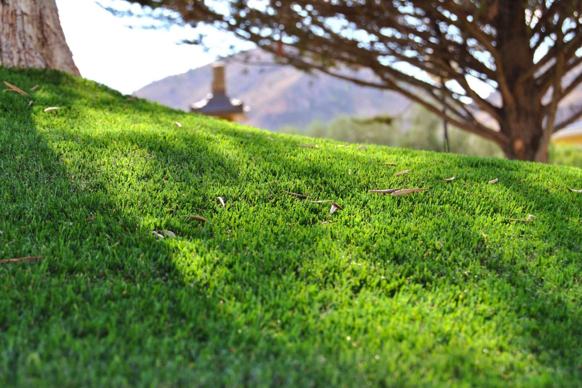 Albergrass impulsa el realismo en el césped artificial con su innovadora tecnología Natural Look®
