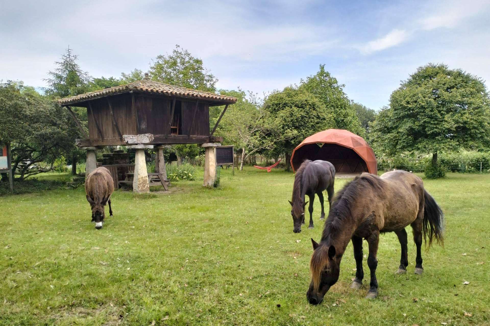 Ecomuséu Ca l’Asturcón conmemora 25 años de historia y abre una nueva etapa