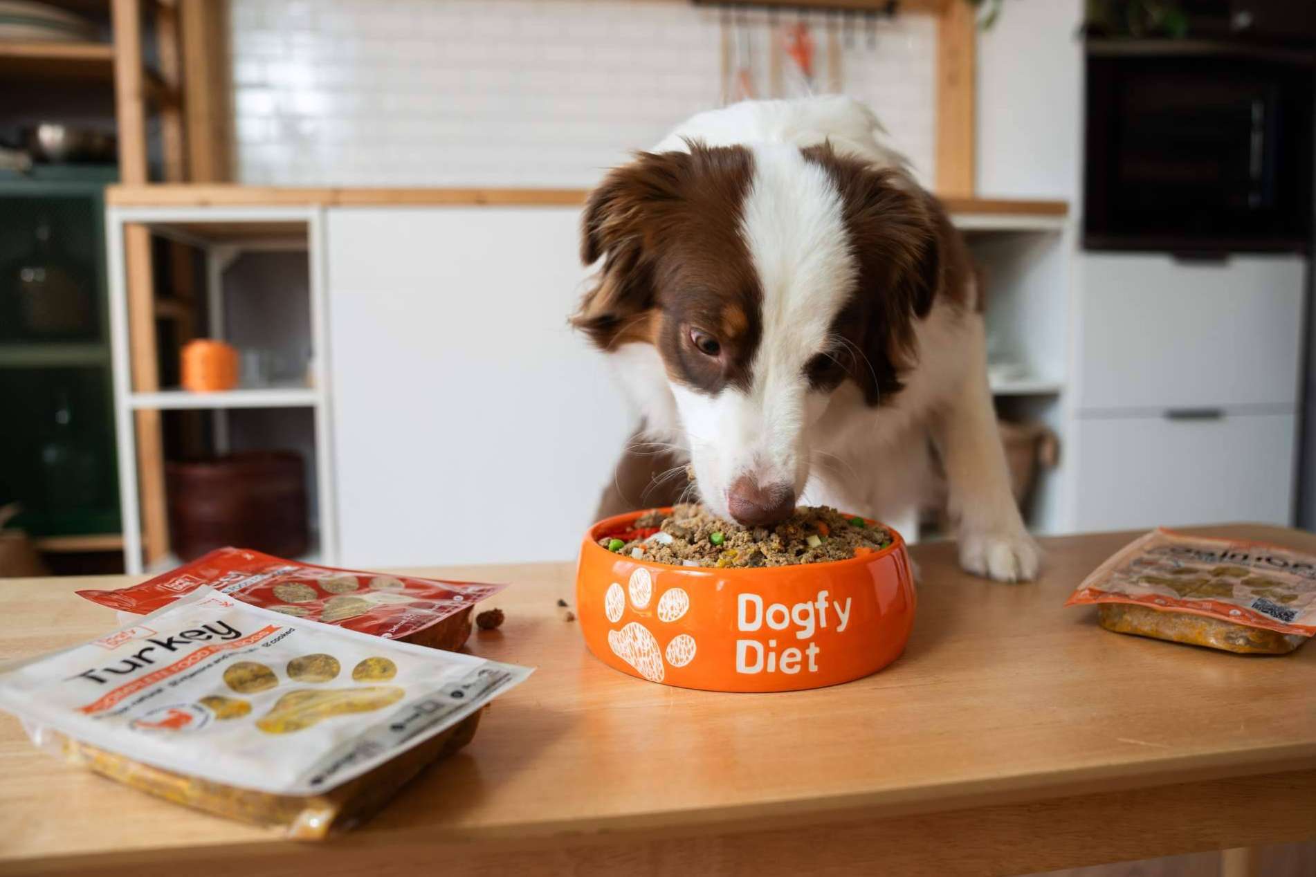 Dogfy Diet ofrece comida natural para perros con un servicio de entrega cómodo y seguro