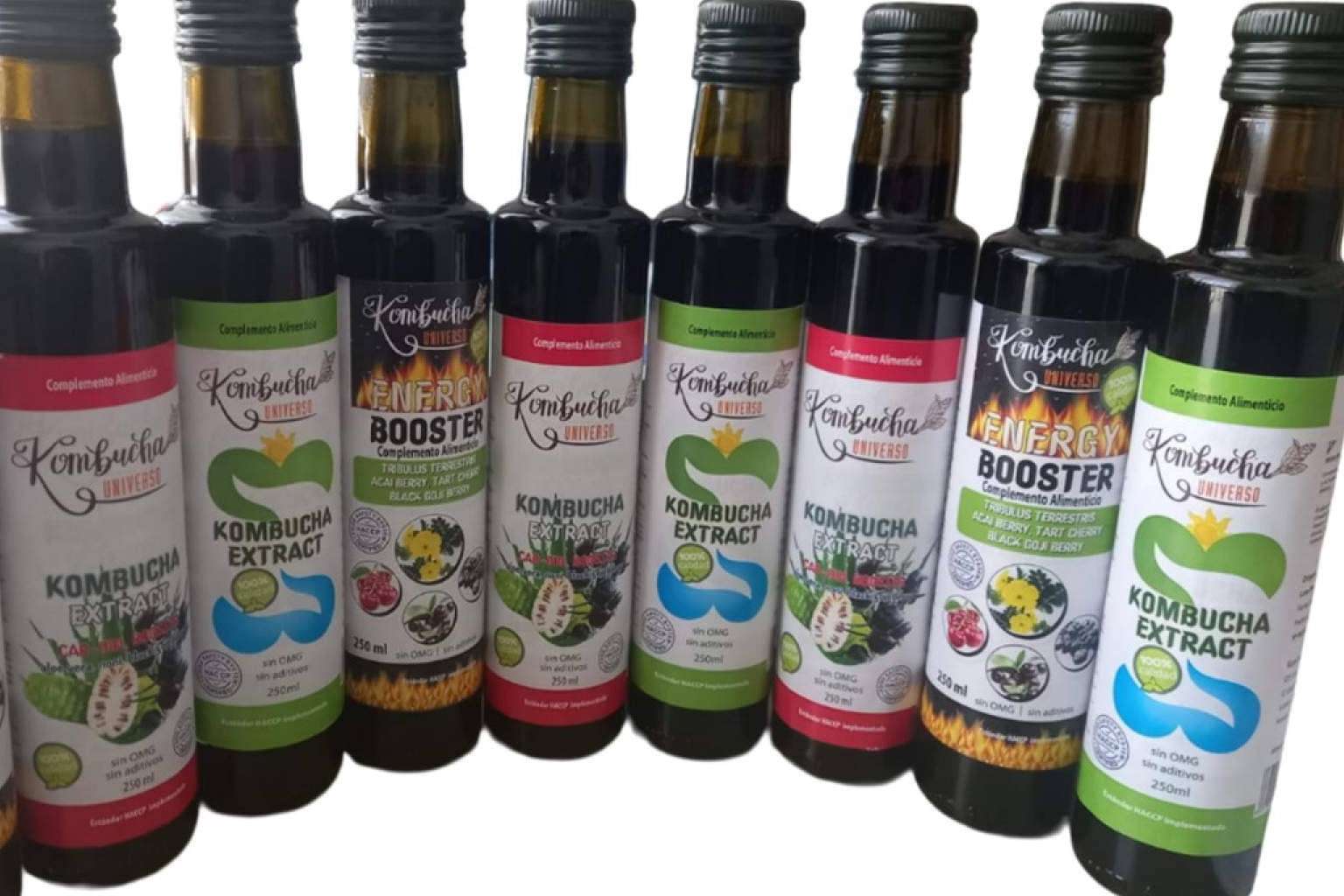 Los extractos de Kombucha de Kombucha Universo destacan por su concentración y beneficios para la salud