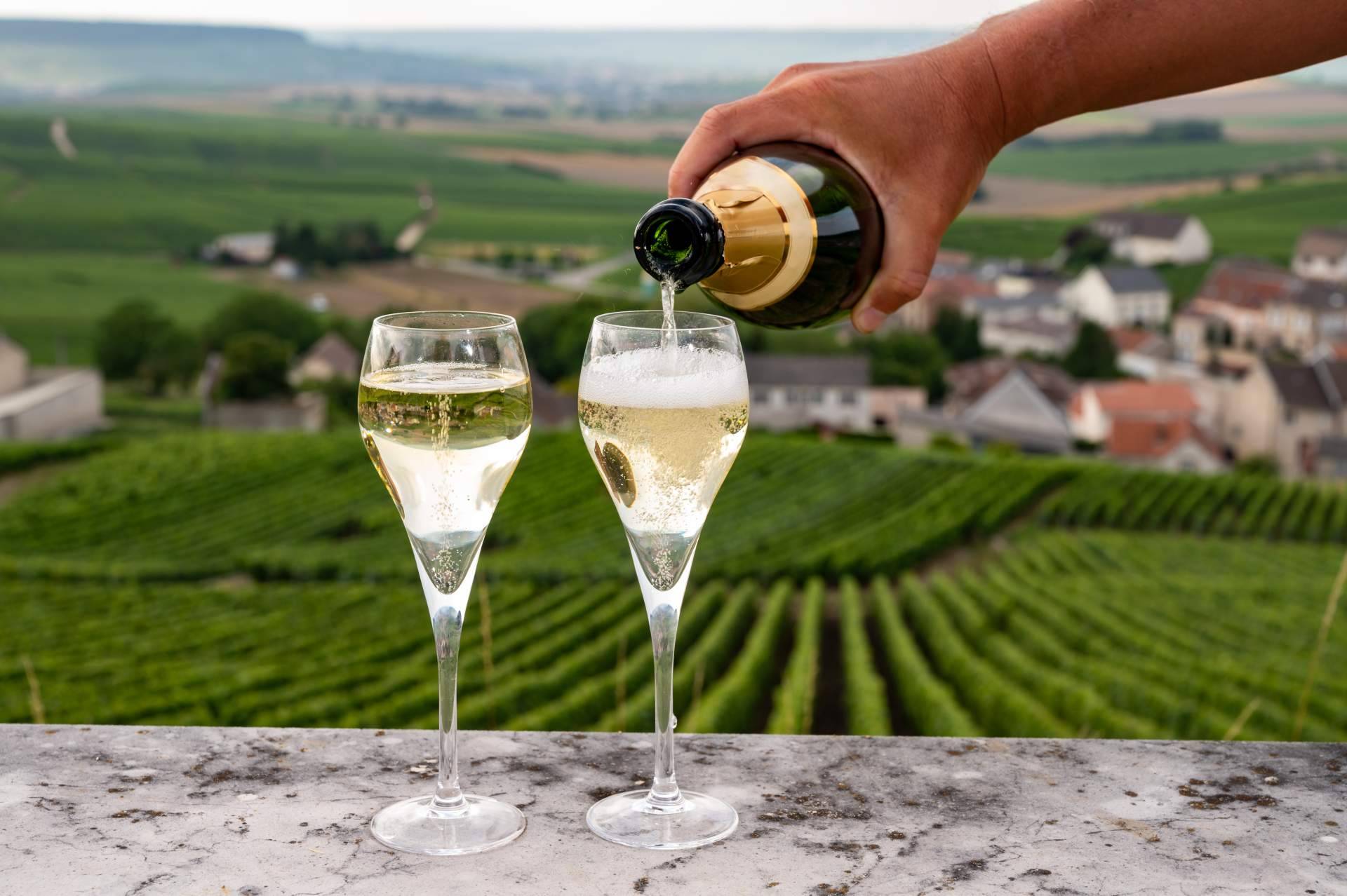 El enoturismo se renueva, catas a ciegas y rutas exclusivas con Naturelovers Wines