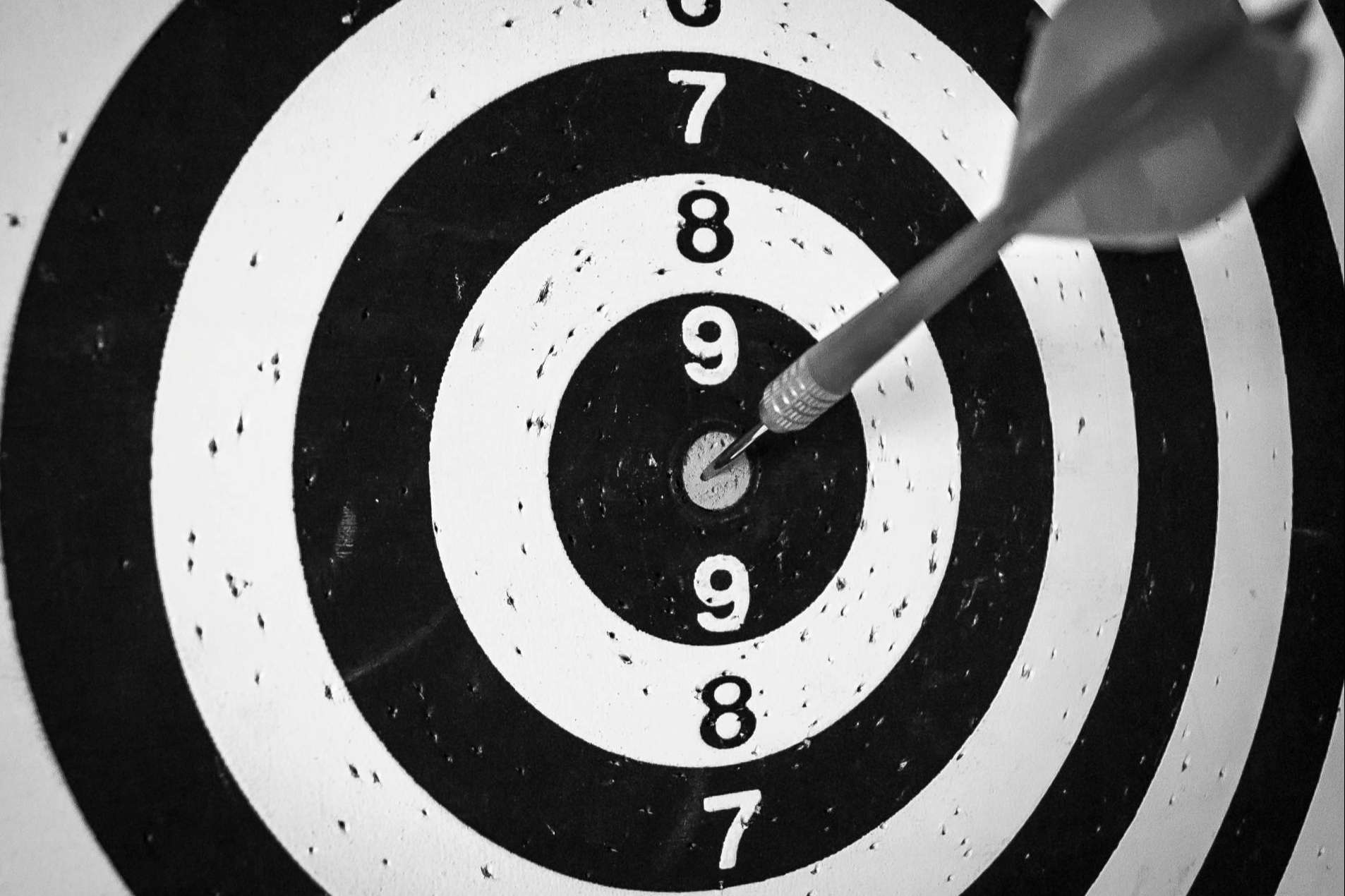 Estrategias de alto rendimiento y bajo coste, la fórmula de Lovvis Advertising para marcas con visión digital