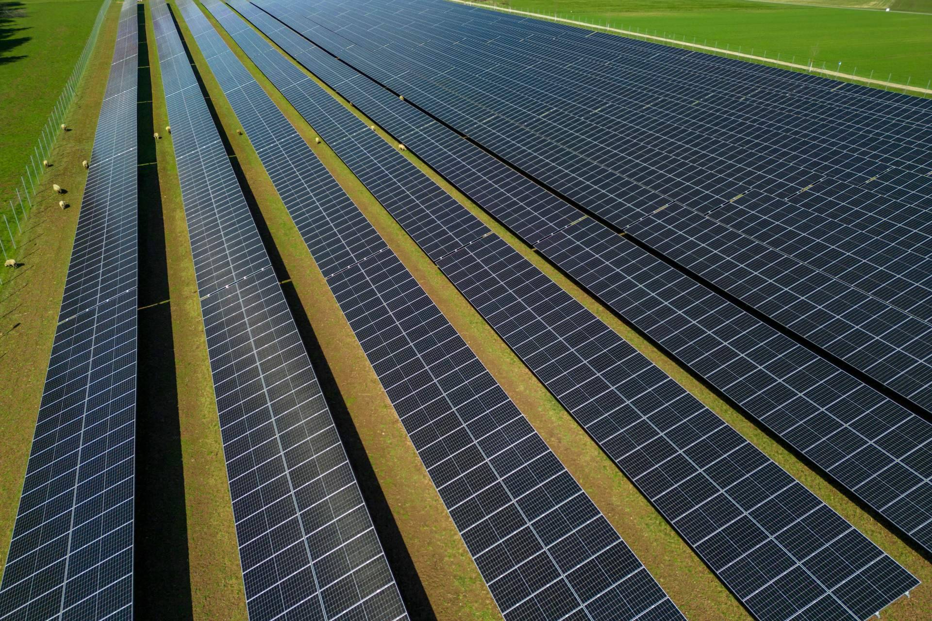 BayWa r.e. refuerza su oferta de revamping solar para modernizar activos fotovoltaicos