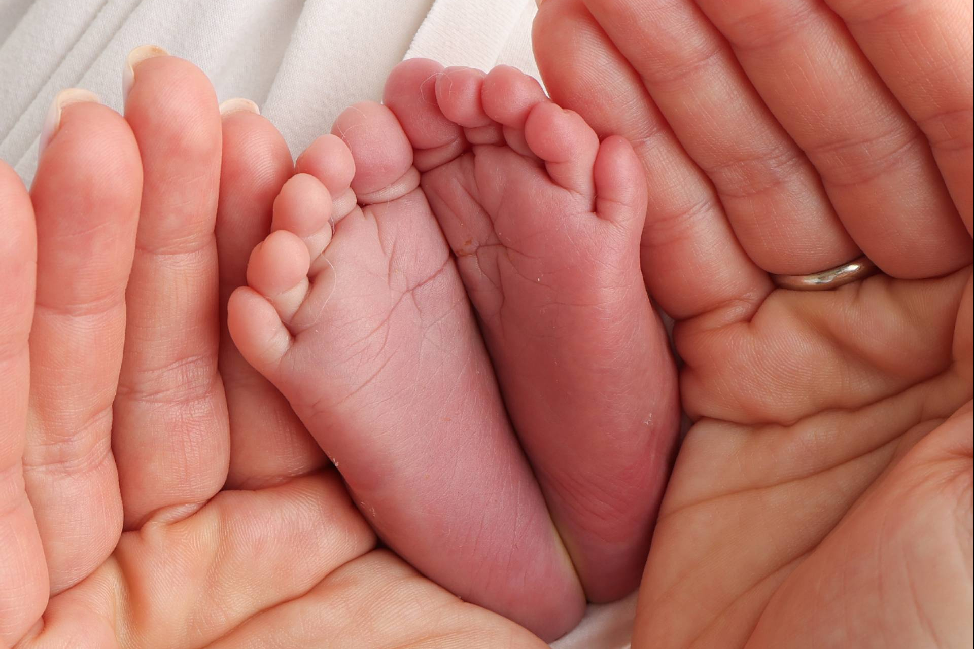 Qué ayudas públicas pueden solicitar las familias ante un caso de prematuridad