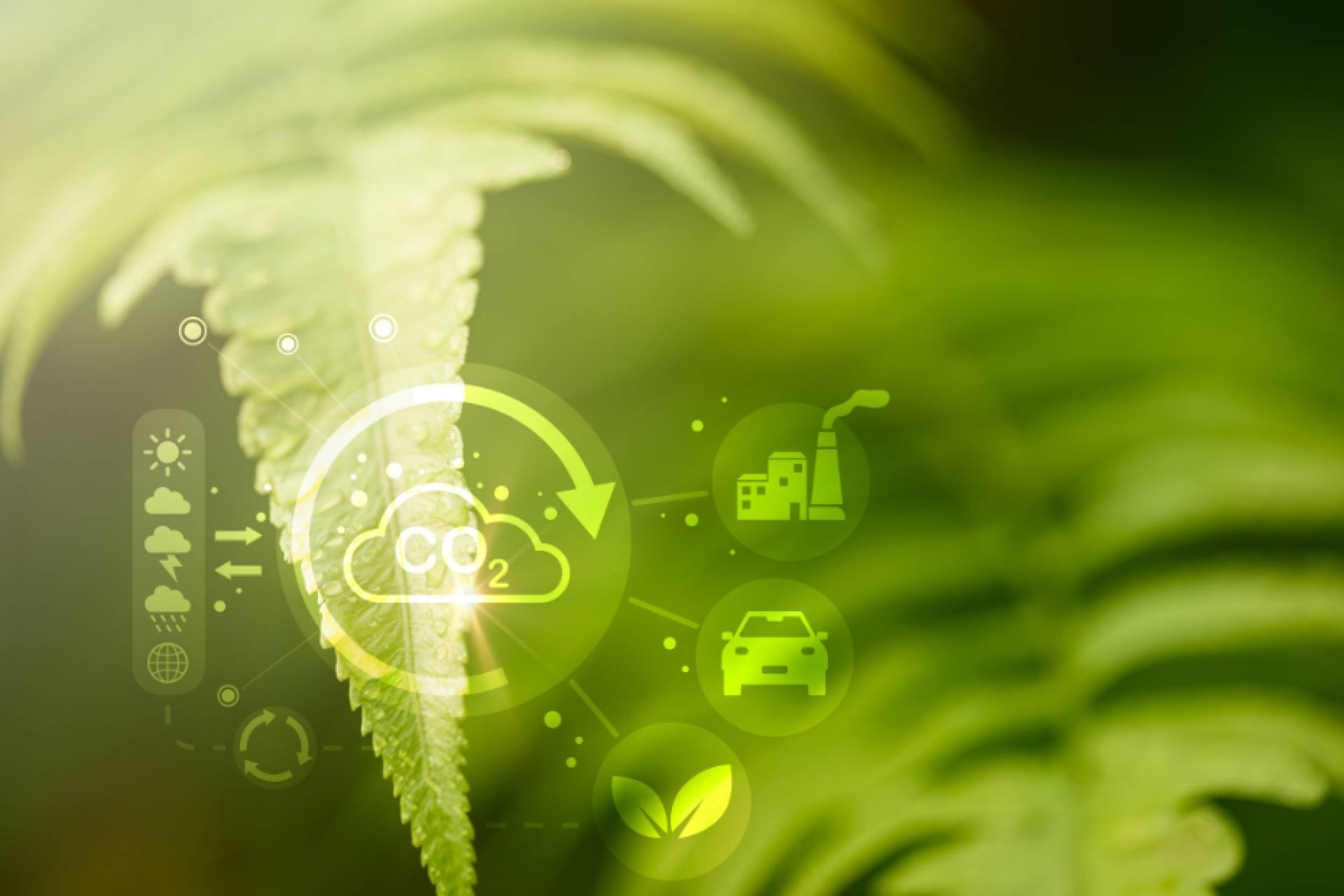 ISO y GHG Protocol impulsan la creación de un estándar internacional para la gestión de la huella de carbono