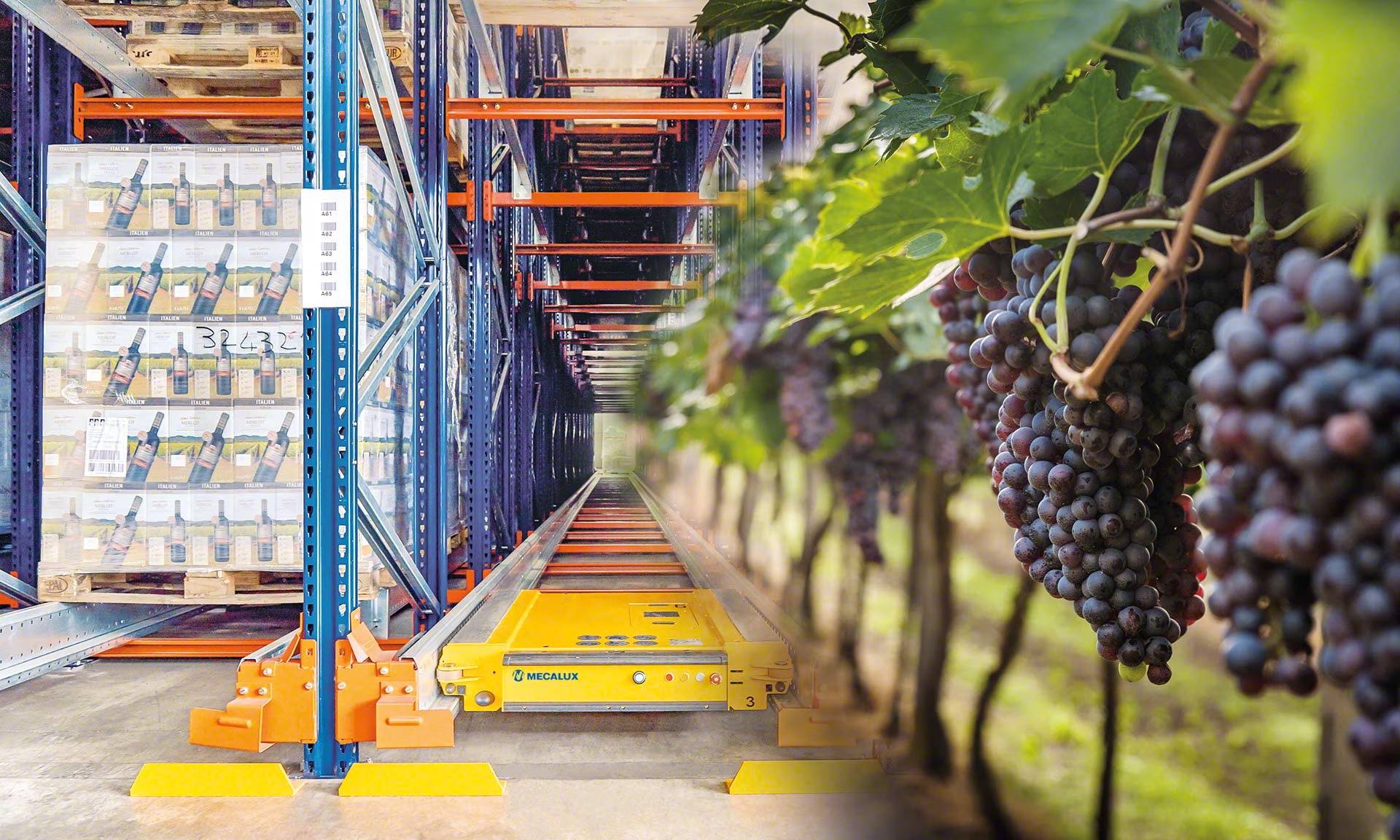 Difersa & Primavinia alcanza los 15 millones de euros en 2024 y afianza su crecimiento en el sector del vino gallego