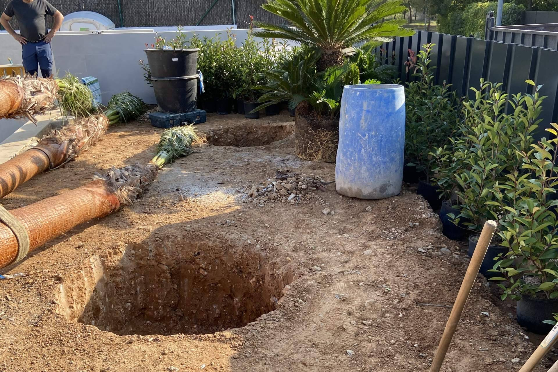 Jardinería profesional en Barcelona; la clave para espacios verdes que unen estética, eficiencia y sostenibilidad
