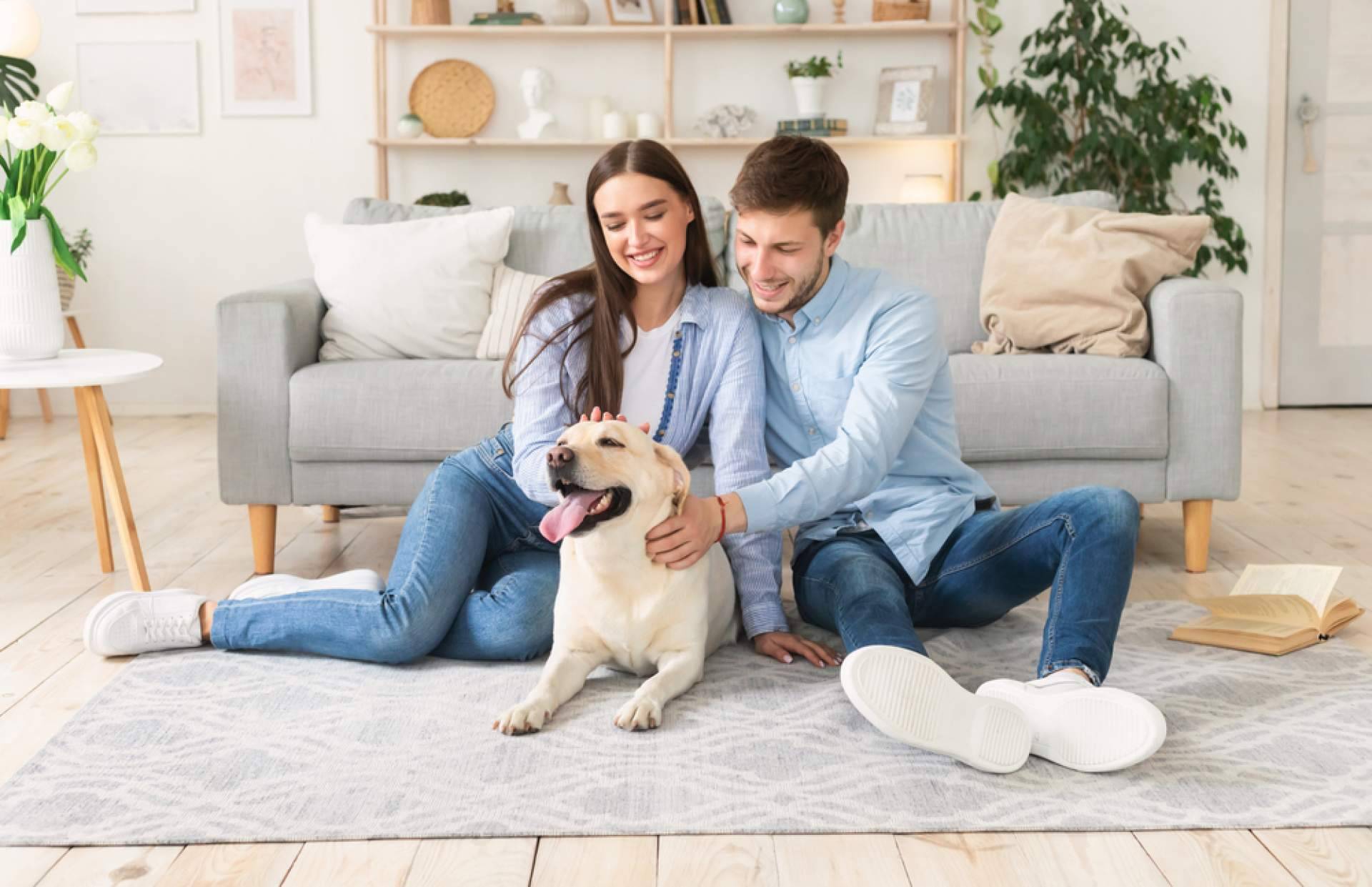 Terapia de pareja en primavera; una oportunidad para reconstruir la conexión emocional