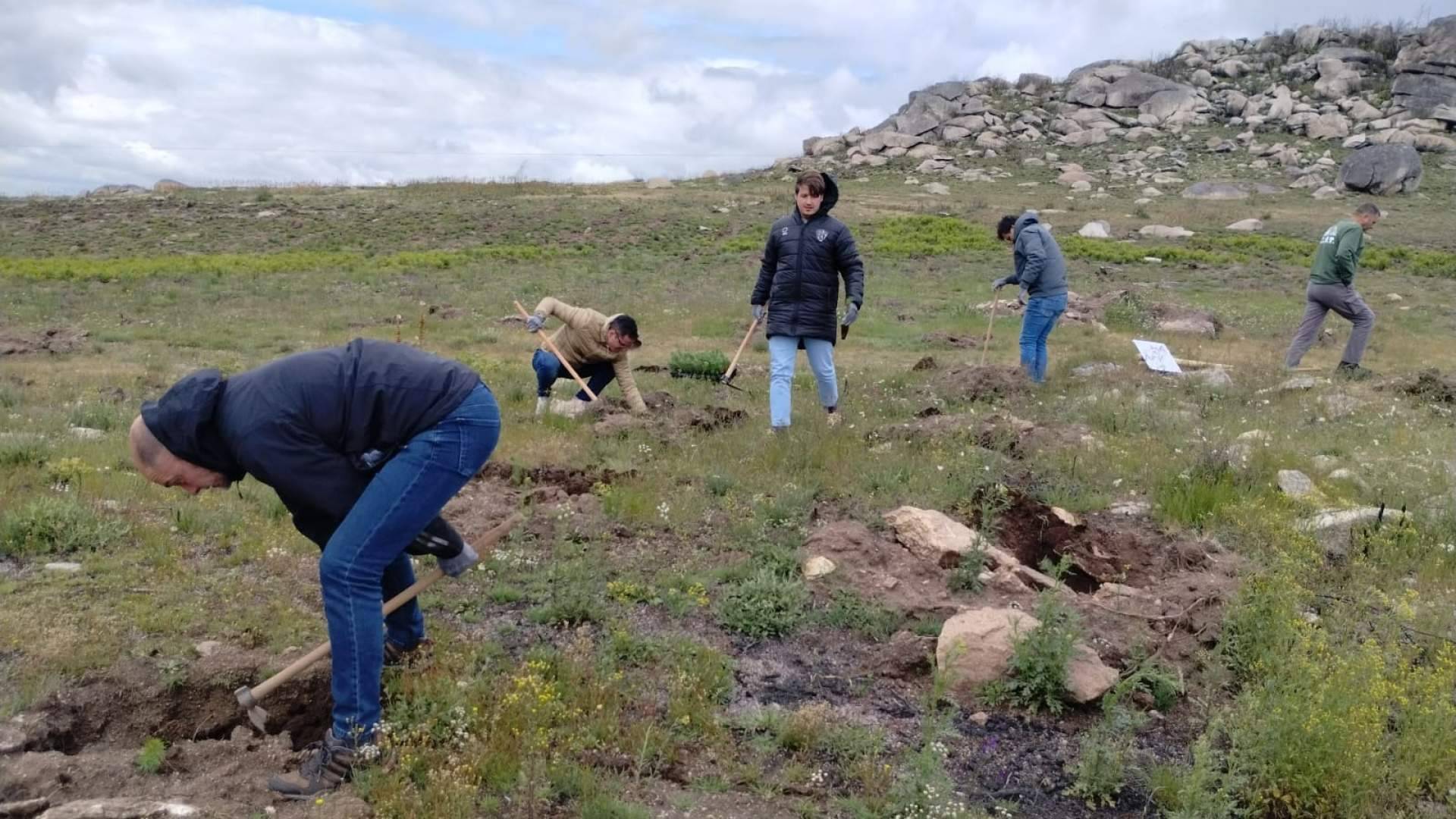 FOXY, Fundación Alcoraz y CO2 GESTIÓN contribuyen a la recuperación de un bosque incendiado en Verín