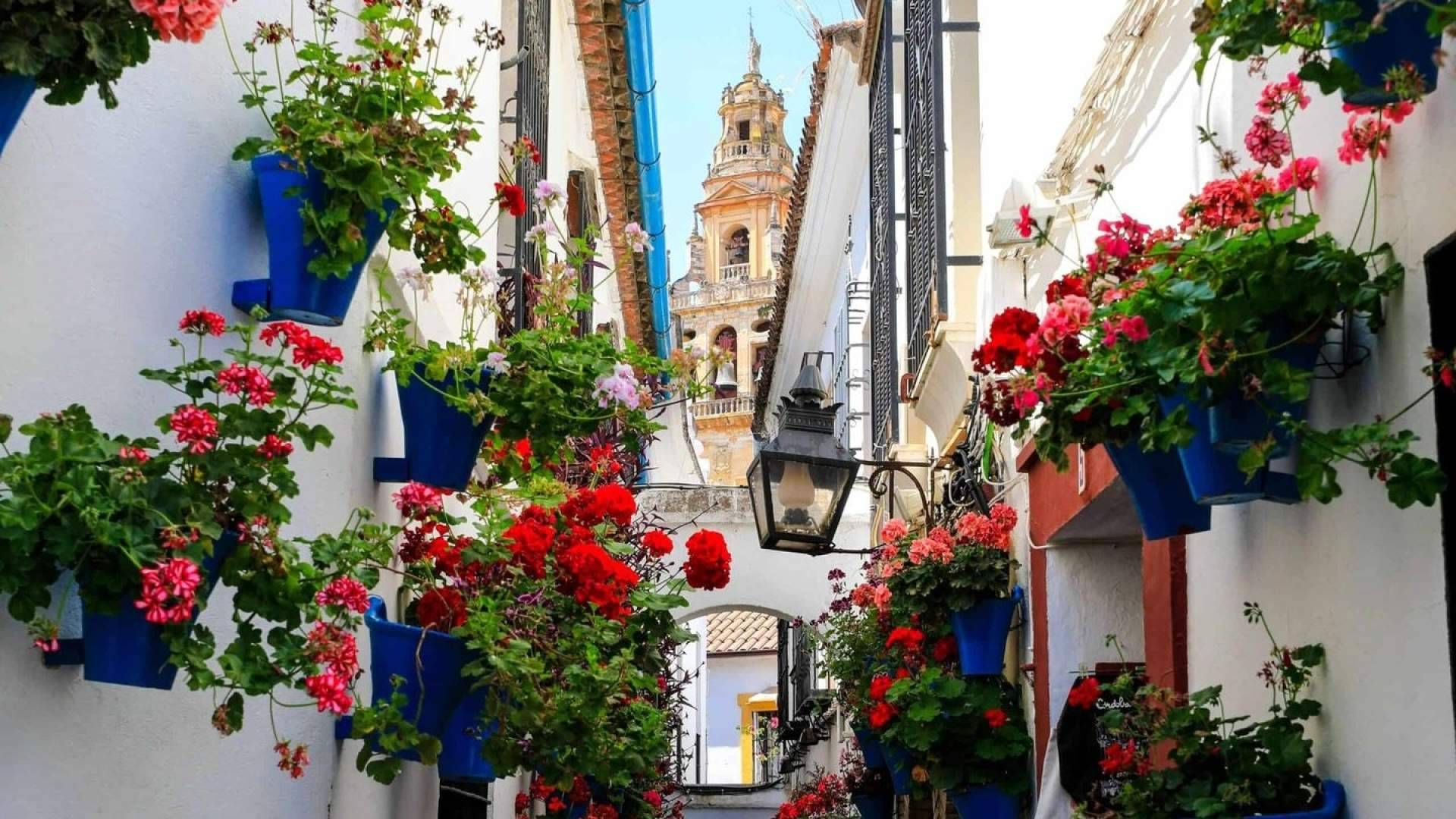 'Andalucía en flor', viajes y escapadas recomendadas para descubrir Andalucía en primavera
