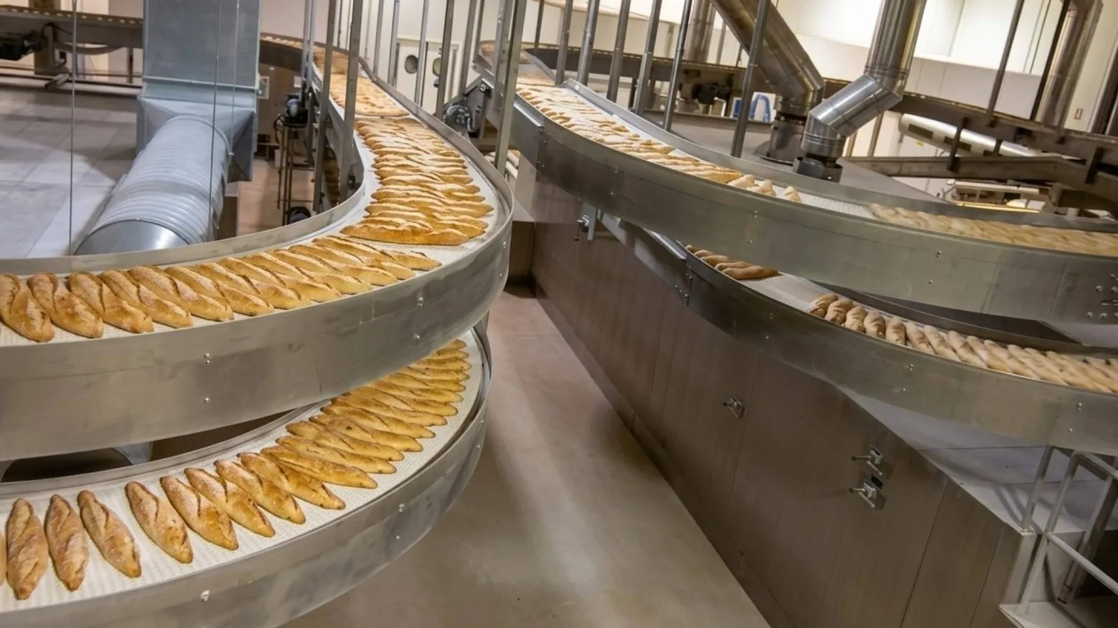 Cómo las cintas modulares mejoran los procesos de transporte y pesaje en la industria alimentaria