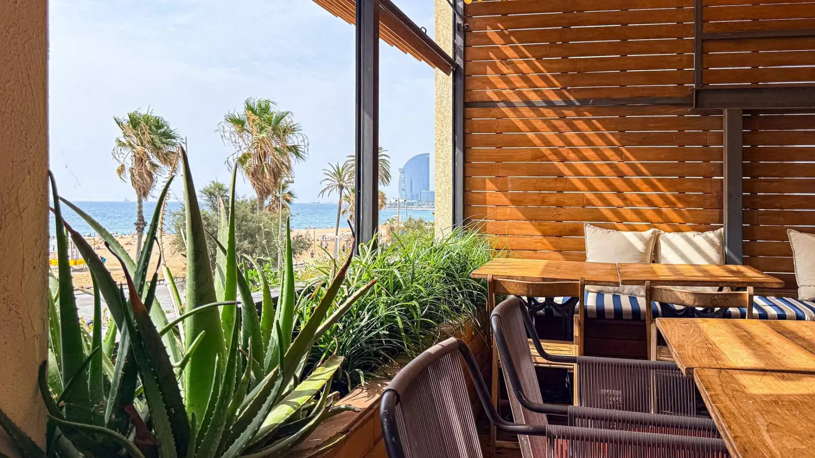 Barraca Barcelona se posiciona como plan gastronómico de agosto para comer frente al mar con amigos