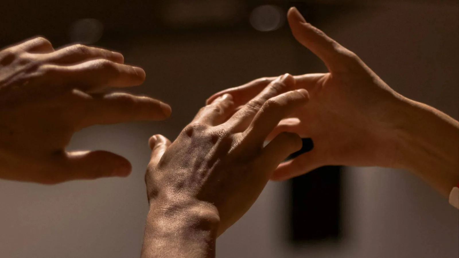 'Vivimos desconectados del cuerpo', Xavier Serrano Hortelano en el XVII Encuentro Español de Biodanza