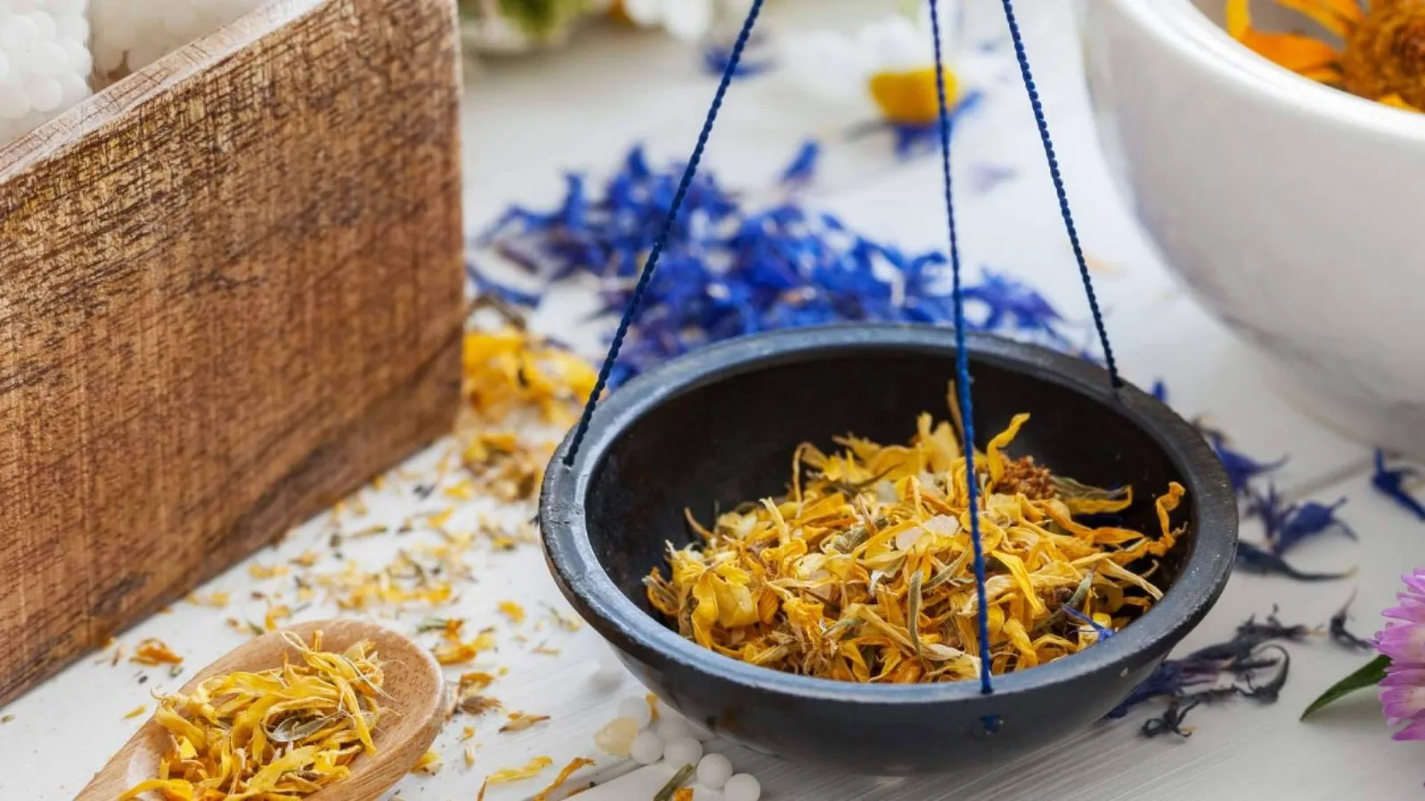 ISED Expert abre la matriculación del 'Máster en Naturopatía' en Madrid y en modalidad virtual